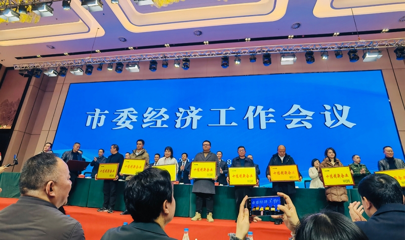 【荣誉加冕】：创新实力再获权威认可